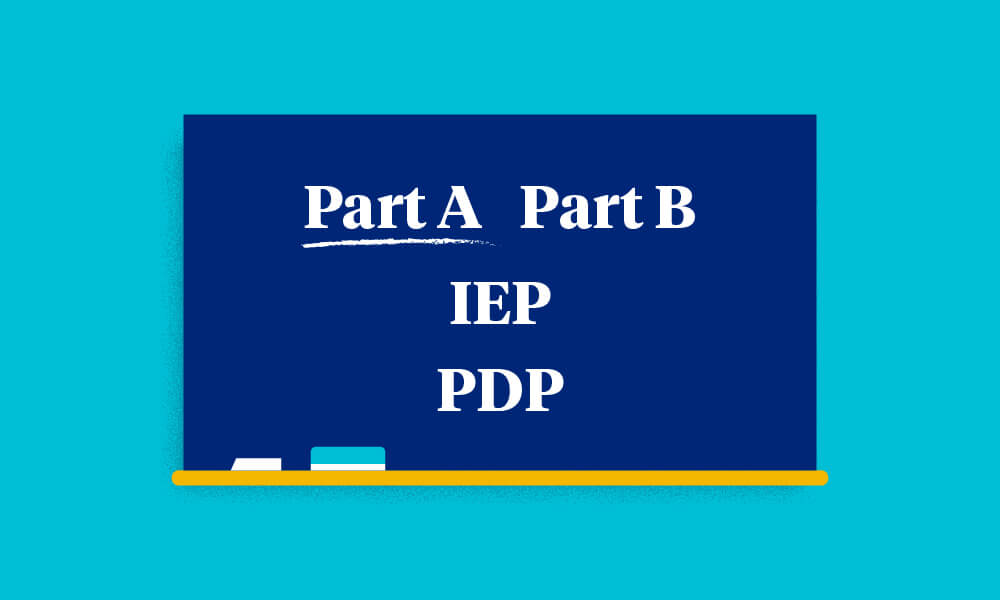 Learn terms like Part A, Part B, IEP, and PDP